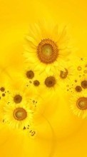 Scaricare immagine Flowers,Background,Sunflowers sul telefono gratis.
