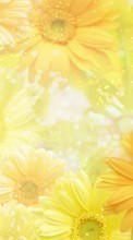 Scaricare immagine Flowers, Background, Plants sul telefono gratis.