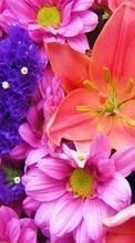 Scaricare immagine 1280x800 Plants, Flowers, Backgrounds sul telefono gratis.