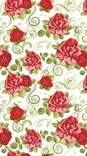 Flowers, Background, Pictures, Roses per Apple iPhone 12