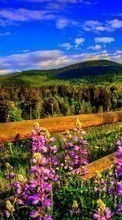 Scaricare immagine Flowers, Mountains, Clouds, Landscape sul telefono gratis.