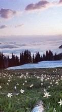 Scaricare immagine Flowers,Mountains,Landscape sul telefono gratis.