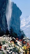 Scaricare immagine Flowers,Mountains,Landscape,Nature,Plants sul telefono gratis.