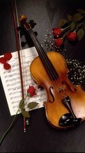 Scaricare immagine Flowers, Tools, Violins, Music, Objects, Roses sul telefono gratis.