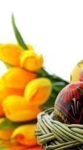 Scaricare immagine Flowers, Eggs, Objects, Easter, Holidays sul telefono gratis.