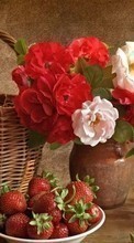 Scaricare immagine Flowers,Strawberry,Landscape sul telefono gratis.