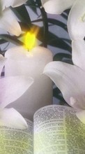 Scaricare immagine Flowers, Objects, Lilies, Candles sul telefono gratis.