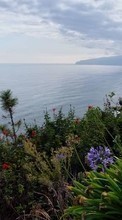 Scaricare immagine Flowers, Sea, Clouds, Landscape sul telefono gratis.