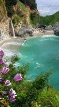 Scaricare immagine Landscape, Flowers, Sea, Beach sul telefono gratis.