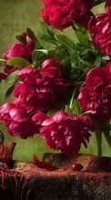 Scaricare immagine Flowers, Still life, Peonies, Plants sul telefono gratis.