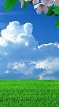 Scaricare immagine Flowers, Sky, Clouds, Landscape, Fields, Grass sul telefono gratis.