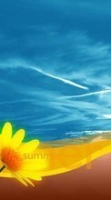 Scaricare immagine Flowers, Sky, Drawings sul telefono gratis.