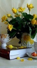 Scaricare immagine Flowers,Objects,Plants sul telefono gratis.