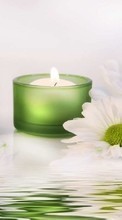 Scaricare immagine Flowers, Objects, Candles sul telefono gratis.