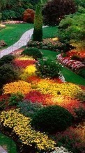 Scaricare immagine Flowers,Landscape sul telefono gratis.
