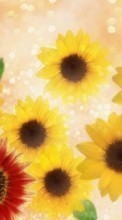 Scaricare immagine Plants, Flowers, Sunflowers sul telefono gratis.