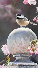 Scaricare immagine 320x480 Animals, Flowers, Birds sul telefono gratis.
