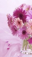 Scaricare immagine 720x1280 Plants, Flowers sul telefono gratis.