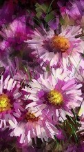 Scaricare immagine Flowers, Plants, Pictures sul telefono gratis.