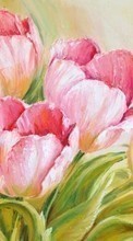 Scaricare immagine Flowers, Plants, Pictures, Tulips sul telefono gratis.