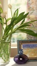 Scaricare immagine Plants, Flowers, Tulips, Drawings sul telefono gratis.