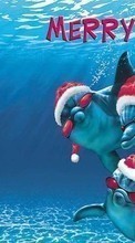 Scaricare immagine Dolfins, Sea, New Year, Holidays, Christmas, Xmas, Fishes, Humor sul telefono gratis.