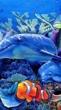 Scaricare immagine Dolfins, Sea, Fishes, Animals sul telefono gratis.