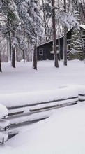Scaricare immagine Landscape, Winter, Houses, Trees sul telefono gratis.