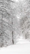 Scaricare immagine Landscape, Winter, Nature, Trees, Roads, Snow, Fir-trees sul telefono gratis.