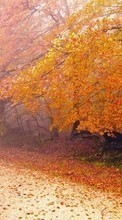 Scaricare immagine Trees, Roads, Leaves, Autumn, Landscape sul telefono gratis.