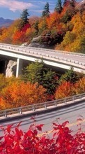 Scaricare immagine 480x800 Landscape, Bridges, Trees, Roads, Autumn sul telefono gratis.