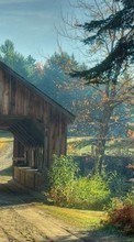 Trees, Roads, Bridges, Landscape per Apple iPhone 5C