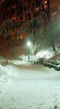 Scaricare immagine Trees, Roads, Night, Landscape, Snow sul telefono gratis.