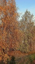 Scaricare immagine Landscape, Trees, Roads, Autumn sul telefono gratis.