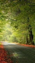 Scaricare immagine 1080x1920 Landscape, Trees, Roads, Autumn sul telefono gratis.