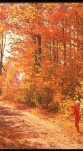 Landscape, Trees, Roads, Autumn per HTC One mini 2