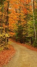 Scaricare immagine 1024x768 Landscape, Trees, Roads, Autumn sul telefono gratis.