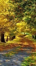 Scaricare immagine Trees, Roads, Autumn, Landscape sul telefono gratis.