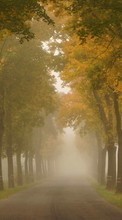 Trees, Roads, Autumn, Landscape per Motorola RAZR XT910