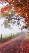 Scaricare immagine Trees,Roads,Autumn,Landscape sul telefono gratis.