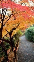 Scaricare immagine 320x240 Landscape, Trees, Roads, Autumn sul telefono gratis.