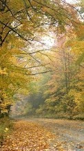Scaricare immagine 320x480 Landscape, Trees, Roads, Autumn sul telefono gratis.