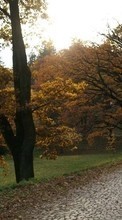 Scaricare immagine 1280x800 Landscape, Trees, Roads, Autumn sul telefono gratis.