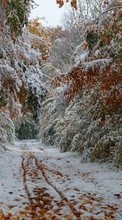 Scaricare immagine Trees, Roads, Autumn, Landscape, Snow sul telefono gratis.