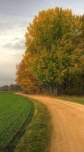 Scaricare immagine Landscape, Trees, Roads sul telefono gratis.
