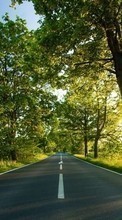 Scaricare immagine 540x960 Landscape, Trees, Roads sul telefono gratis.