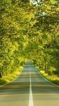 Scaricare immagine Trees, Roads, Landscape sul telefono gratis.