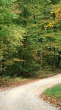 Scaricare immagine Trees,Roads,Landscape sul telefono gratis.