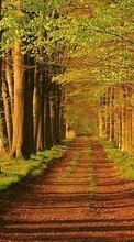 Scaricare immagine Trees,Roads,Landscape sul telefono gratis.