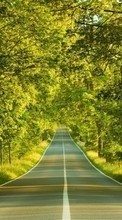 Scaricare immagine 240x320 Landscape, Trees, Roads sul telefono gratis.